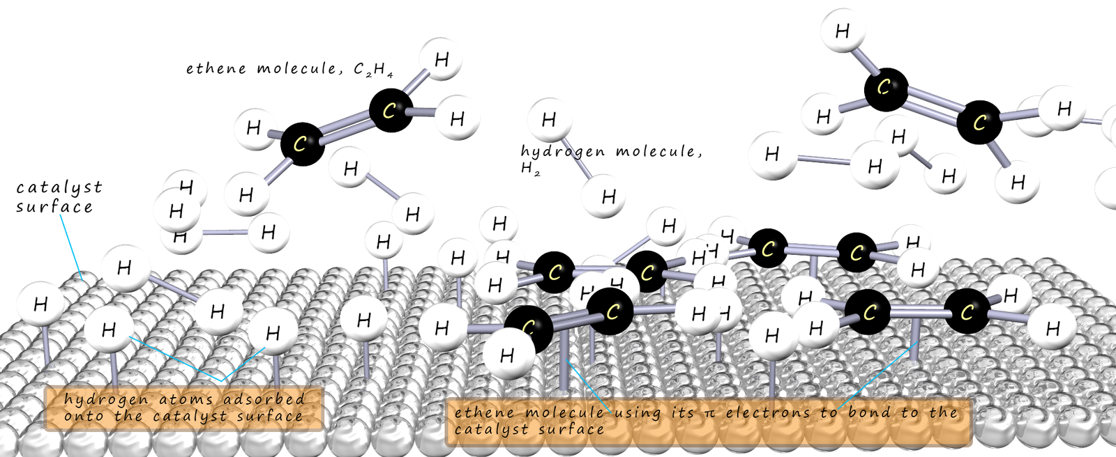 image shows how a unsaturated molecule becomes hydrogenated on the 
surface of a catalyst